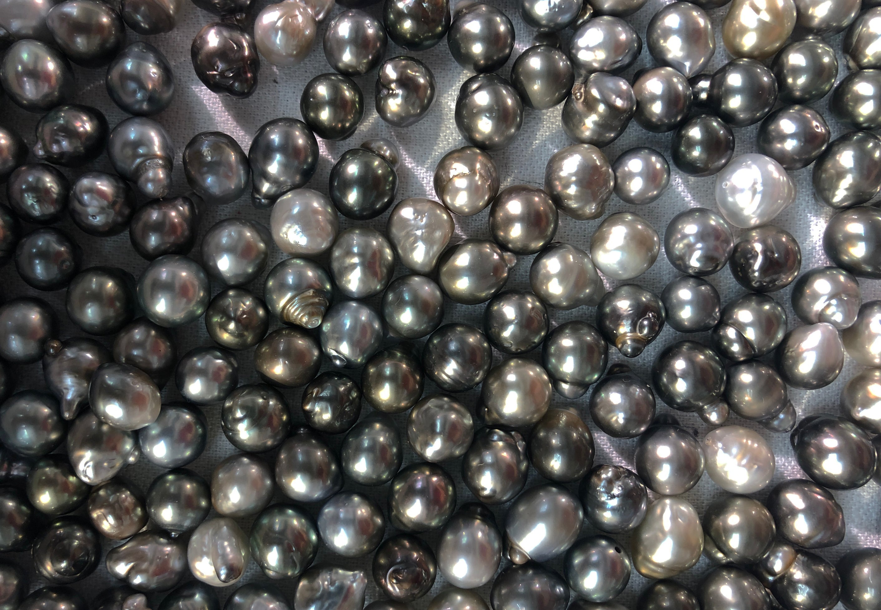 Tahitian Pearls used in Gece Gece Jewelry rings, earrings and necklaces